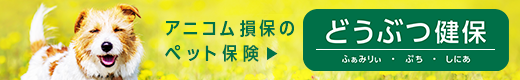 アニコムのペット保険申込サイトのリンク